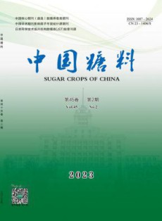 中国糖料